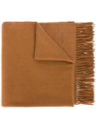 Max Mara Cashmere Scarf, Women's, Brown, Cashmere