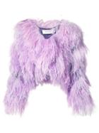 Marques'almeida - Cropped Feather Shrug - Women - Polyester/ostrich Feather - M, Pink/purple, Polyester/ostrich Feather