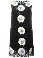 Dolce & Gabbana Daisy Appliqué Lace Dress, Women's, Size: 46, Black, Silk/cotton/nylon