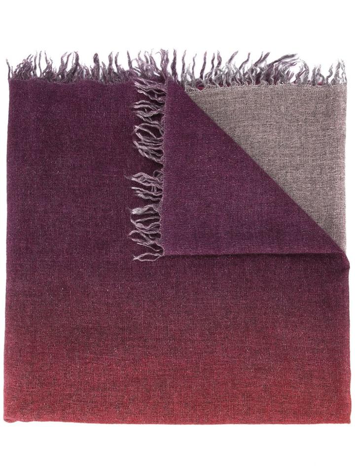 Faliero Sarti Two-tone Frayed Scarf - Purple