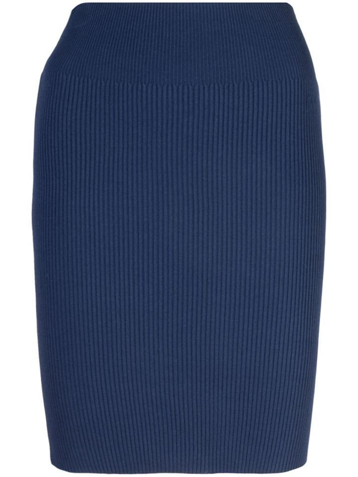 Alexandra Golovanoff Fitted Sweater Skirt - Blue