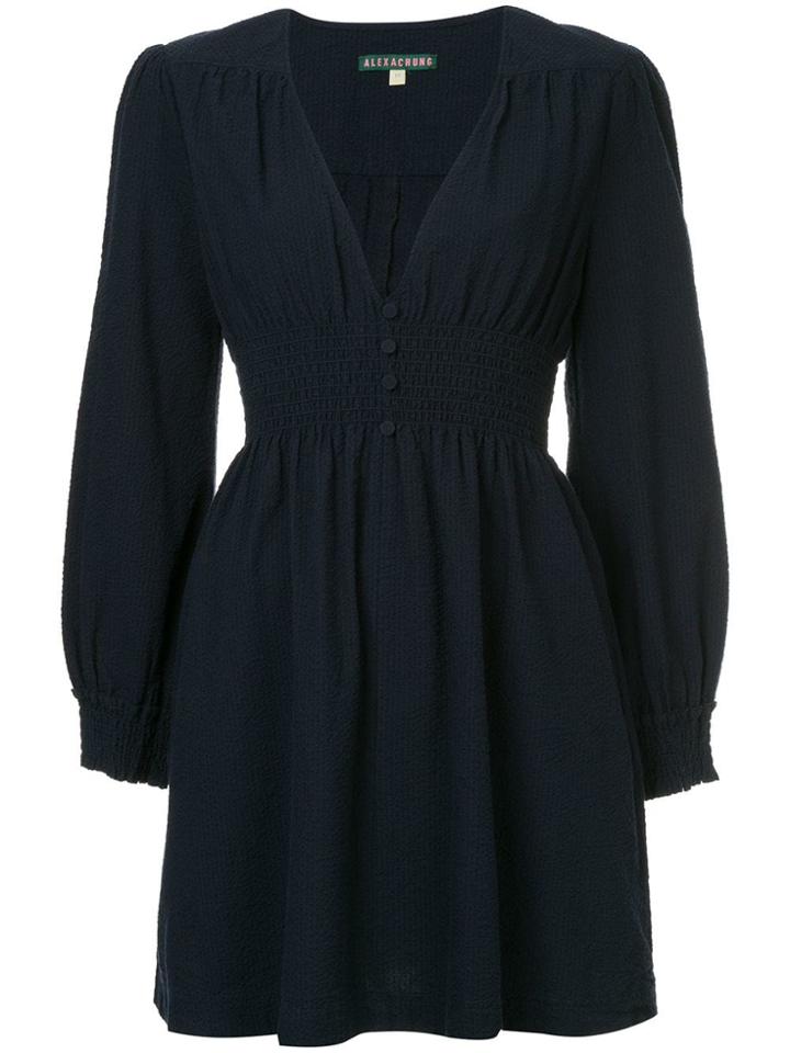 Alexa Chung V-neck Dress - Blue