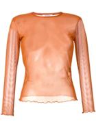 Priscavera Sheer Mesh Shirt - Brown