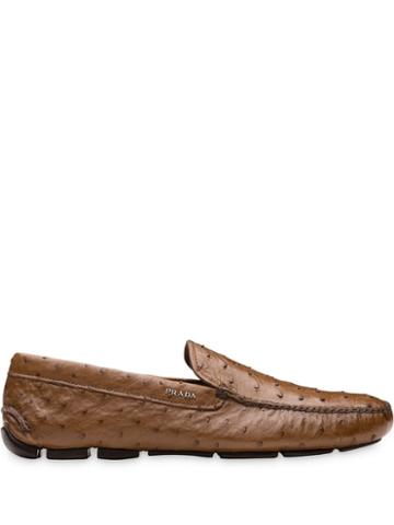 Prada Ostrich Leather Driver Loafers - Brown