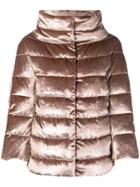 Herno Pi0861d150192200 - Brown
