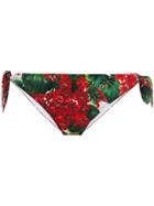 Dolce & Gabbana Floral Bikini Bottoms - Red