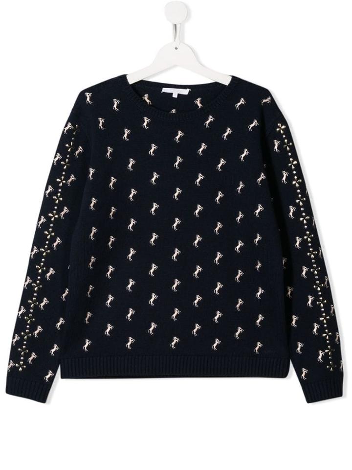 Chloé Kids Teen Embroidered Horse Jumper - Blue
