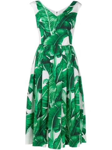 Dolce & Gabbana Banana Leaf Print Flared Dress, Women's, Size: 38, Green, Cotton