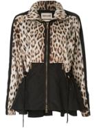 Roberto Cavalli Leopard Print Cinched Jacket - Black