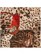 Dolce & Gabbana Cat Print Scarf, Women's, Brown, Silk
