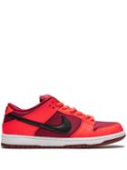 Nike Dunk Low Pro Sb Sneakers - Red