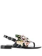 Dolce & Gabbana Lily Print Thong Sandals - Black