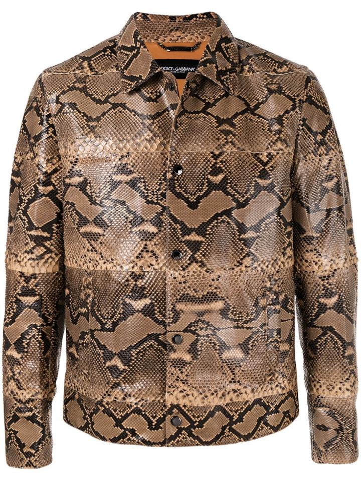 Dolce & Gabbana Blouson Jacket - Brown