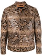 Dolce & Gabbana Blouson Jacket - Brown