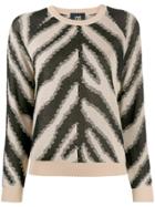 Cavalli Class Zebra Print Jumper - Brown