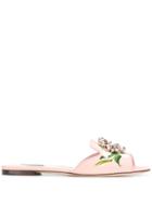 Dolce & Gabbana Lily Crystal Embellished Slides - Pink
