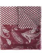 Al Duca D'aosta 1902 Paisley Polka Dot Print Scarf
