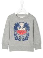 American Outfitters Kids Palm Tree Print Sweatshirt, Girl's, Size: 12 Yrs, Grey