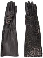 Perrin Paris Leopard Print Gloves - Black