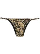 Sissa Animal Print Bikini Bottoms - Nude & Neutrals