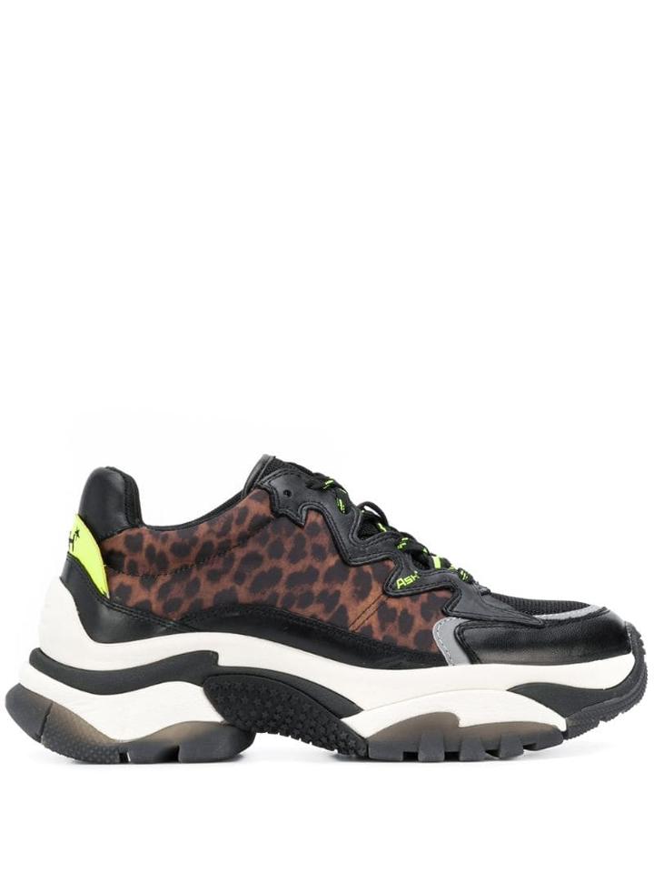 Ash Animal Print Sneakers - Black