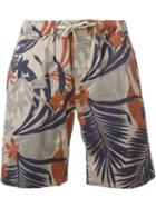 Eleventy Tropical Print Shorts, Men's, Size: 32, Cotton/spandex/elastane