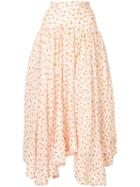 Acler Linton Floral Full Skirt - Neutrals