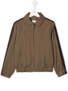 Fendi Kids - Brown