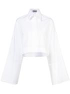 Balossa White Shirt Cropped Tailored Shirt