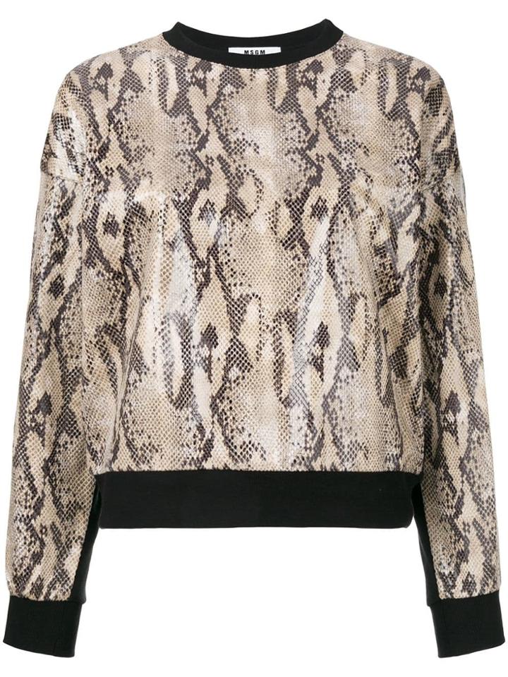 Msgm Snakeskin Print Sweatshirt - Black