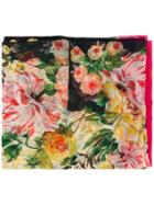 Dolce & Gabbana Floral Print Scarf - Neutrals