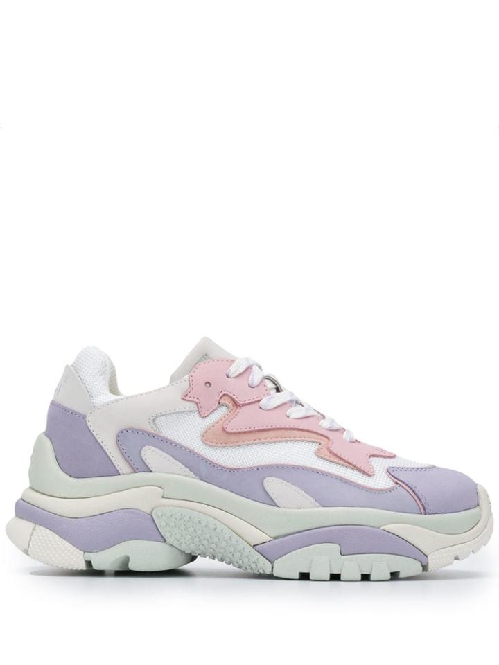Ash Addict07 Sneakers - Purple
