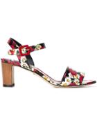 Dolce & Gabbana Daisy And Poppy Print Sandals, Women's, Size: 38, Red, Calf Leather