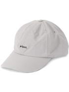 Song For The Mute Plant Baseball Cap - Grey