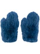 Yves Salomon Accessories - Mitten Gloves - Women - Lamb Fur - One Size, Blue, Lamb Fur