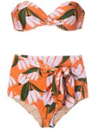 Adriana Degreas Printed Hot Pants Bikini Set - Multicolour