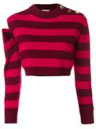 Erika Cavallini Cropped Jumper With Cutout - Pink & Purple