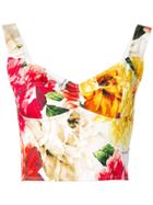 Dolce & Gabbana Floral-print Cropped Top - Red