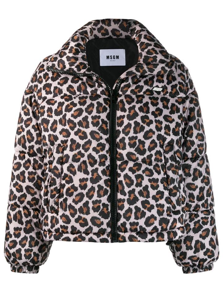 Msgm Leopard Print Bomber Jacket - Neutrals