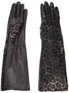 Perrin Paris Leopard Print Gloves, Women's, Size: 7.5, Black, Leather