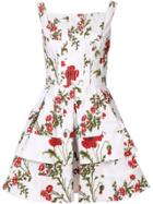 Alexander Mcqueen Poppyfield Print Dress - White