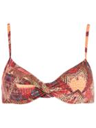 Lygia & Nanny Printed Bikini Top, Women's, Size: 46, Brown, Polyamide/spandex/elastane