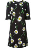 Dolce & Gabbana Daisy Print Brocade Dress