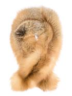 Co Fox Fur Stole