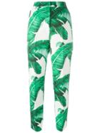 Dolce & Gabbana Banana Leaf Brocade Trousers, Women's, Size: 40, White, Cotton/silk