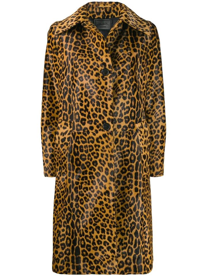 Prada Leopard Print Coat - Neutrals