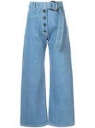 Rejina Pyo Emily Cropped Jeans - Blue