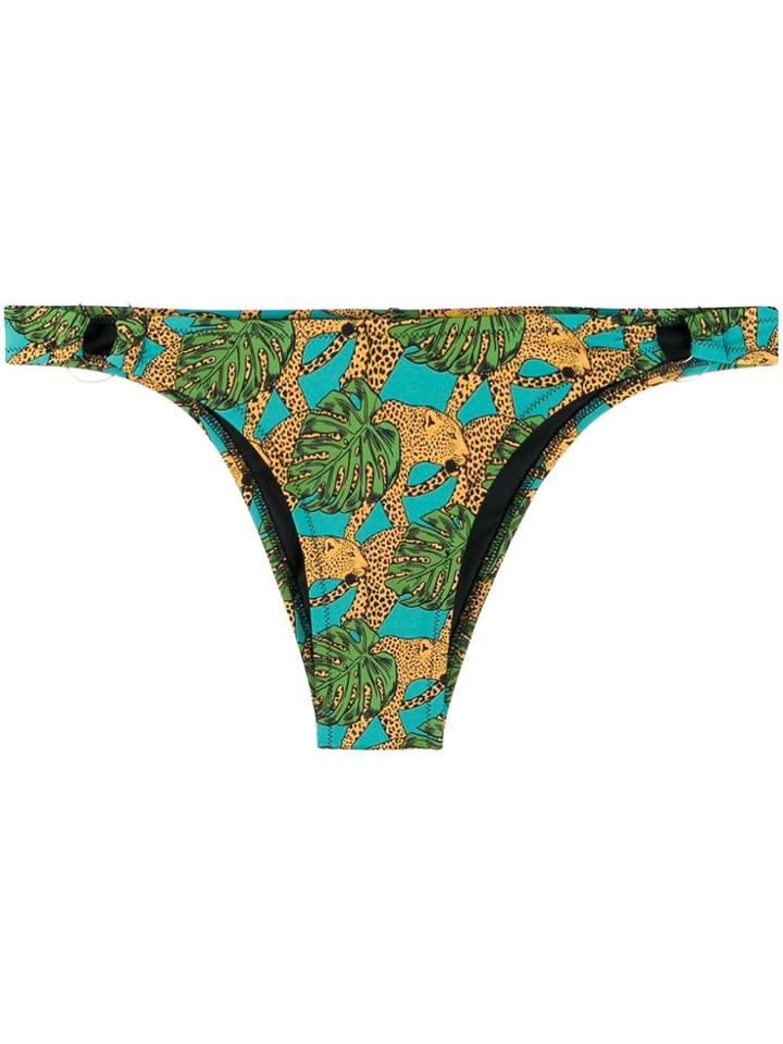Reina Olga Jungle Fever Bikini Bottom - Green
