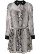 Philipp Plein Sullivan Goldie Shirt Dress - Nude & Neutrals