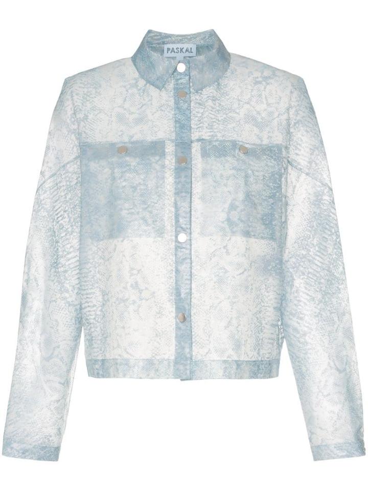 Paskal - Blue
